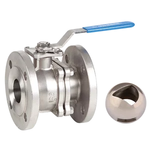 PN16 FL SS VPORT DM BV LVR