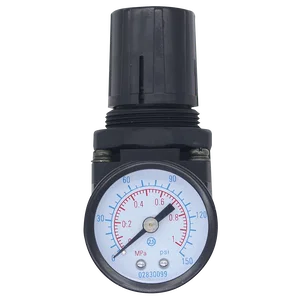 AR2 Series Regulator Relieving