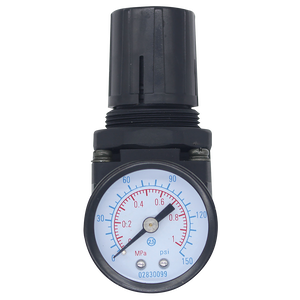 AR2 Series Regulator Relieving