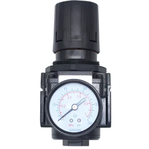 AR5 SERIES REGULATOR 1 RELIEVING