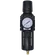 AW4 SERIES F/REG C/W GAUGE 1/2