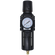 AW4 SERIES F/REG C/W GAUGE 1/2