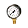 PRESSURE GAUGE 50MM DIA.0-2.0BAR 1/8