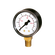 PRESSURE GAUGE 50MM DIA.0-2.0BAR 1/8