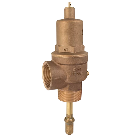 BSPT TEMP/PRES SAFETY VALVE