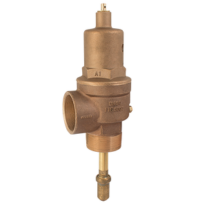 BSPT TEMP/PRES SAFETY VALVE