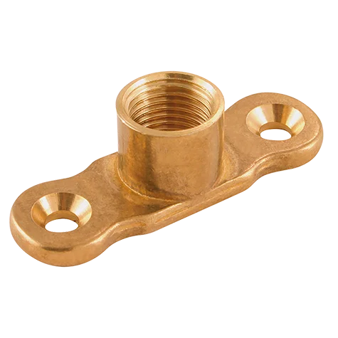 BSPP FEMALE BACK PLATE BRASS
