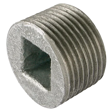 2    BSPP RECESSED PLUG GALV GF596G