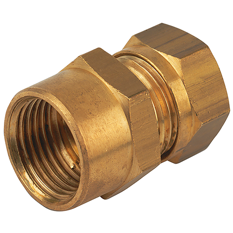 1/4 OD X BSPP FEM PRESSURE GAUGE