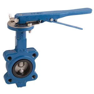 LUG PN16 SS DISC NBR LNR