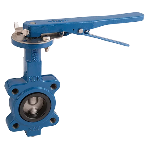 LUG PN16 SS DISC NBR LNR