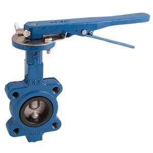 LUG PN16 SS DISC NBR LNR