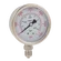 1/4inBSPP 63MM BOTTOM GLY GAUGE 0-15PSI