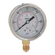 1/4inBSPP 63MM BOTOM GLYC GAUGE 0-15PSI