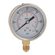 1/4inBSPP 63MM BOTOM GLYC GAUGE 0-15PSI