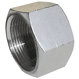 BSP FEM HEX BLANK CAP 316 S/STEEL