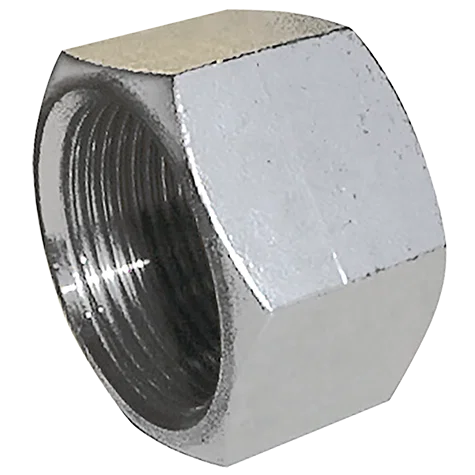 BSP FEM HEX BLANK CAP 316 S/STEEL